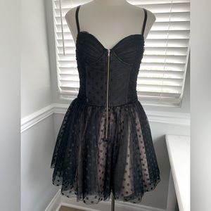 Betsy Johnson Bustier-style, Zip Front, Fit & Flare Lace Dress